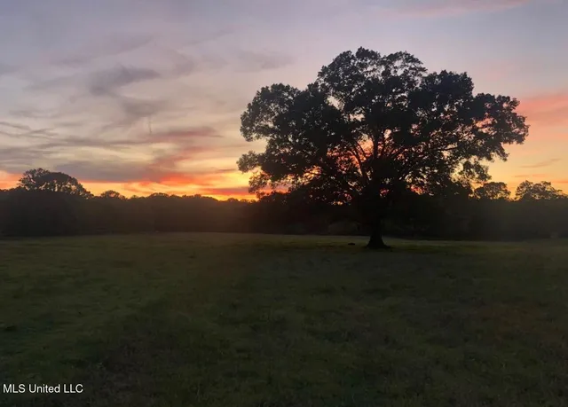 $849,000 | 1046 Sligo Street, Woodville, MS 39669