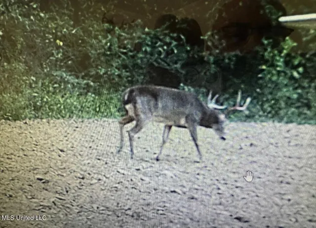 $849,000 | 1046 Sligo Street, Woodville, MS 39669