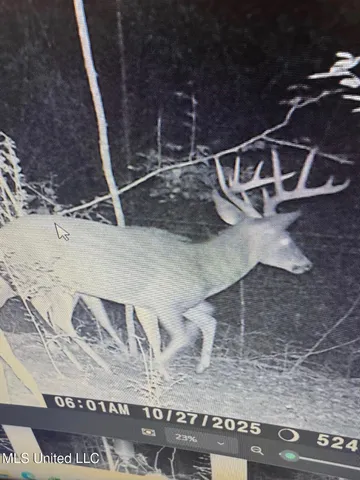 $849,000 | 1046 Sligo Street, Woodville, MS 39669