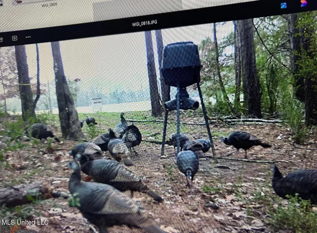 $849,000 | 1046 Sligo Street, Woodville, MS 39669