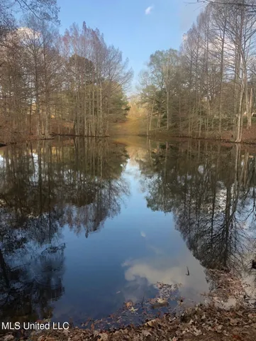 $849,000 | 1046 Sligo Street, Woodville, MS 39669