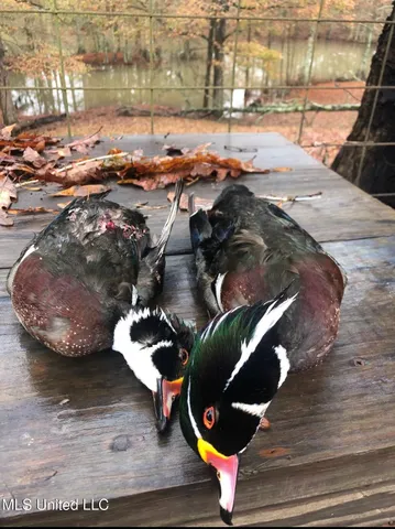 $849,000 | 1046 Sligo Street, Woodville, MS 39669