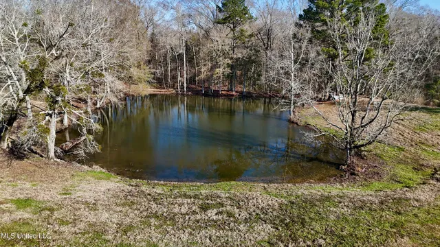 $849,000 | 1046 Sligo Street, Woodville, MS 39669