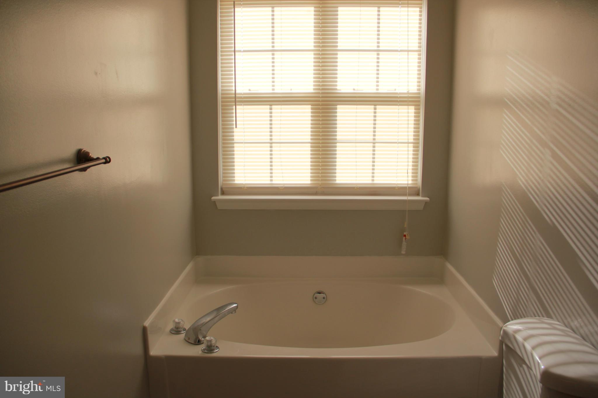 672 Hunting Fields Road Baltimore, MD 21220 - Photo 17 of 24 Bath (Master)