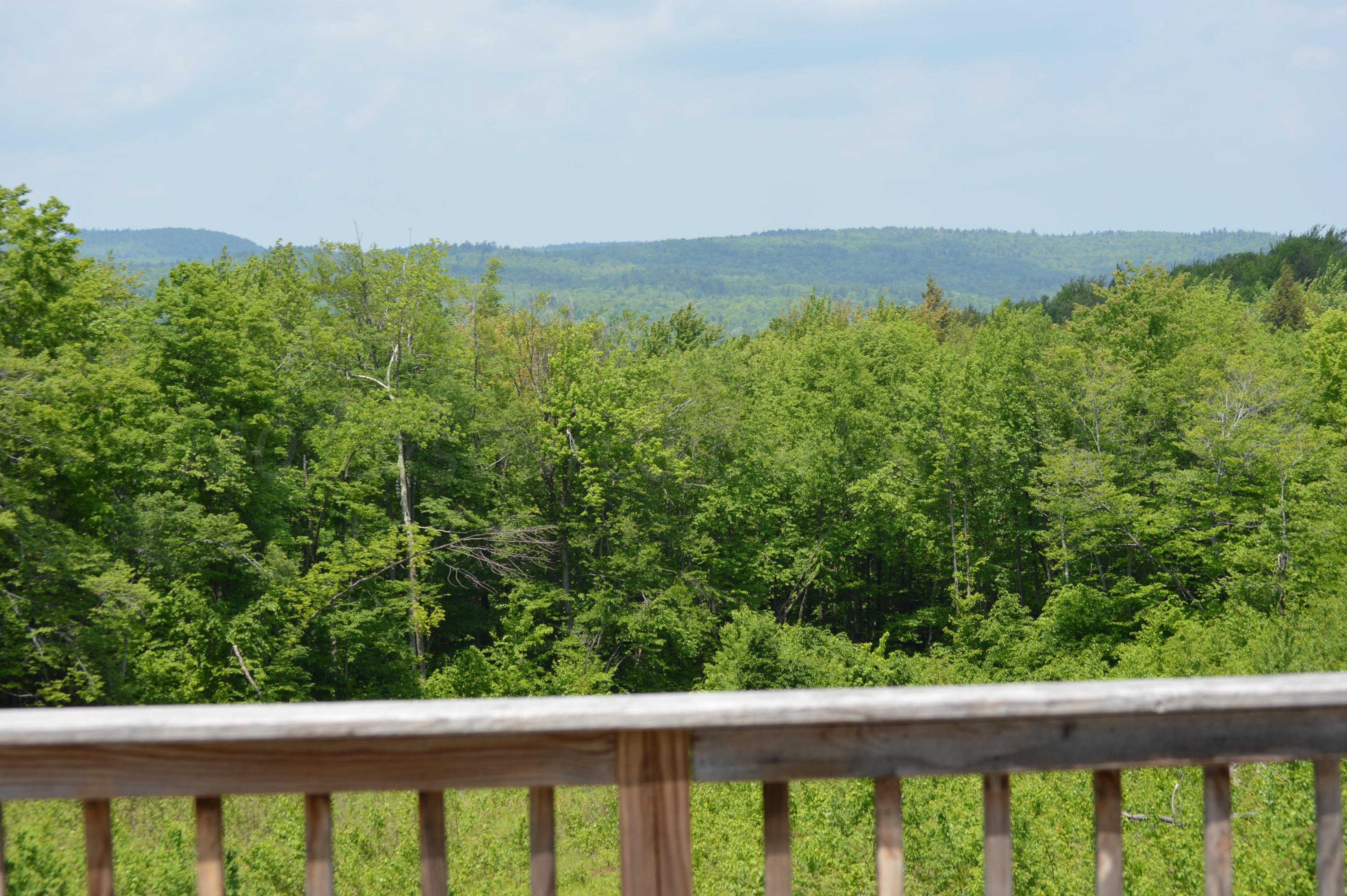 269 Skyline Ridge Road Becket, MA 01223 - Photo 3 of 42 a view of a forest from a balcony