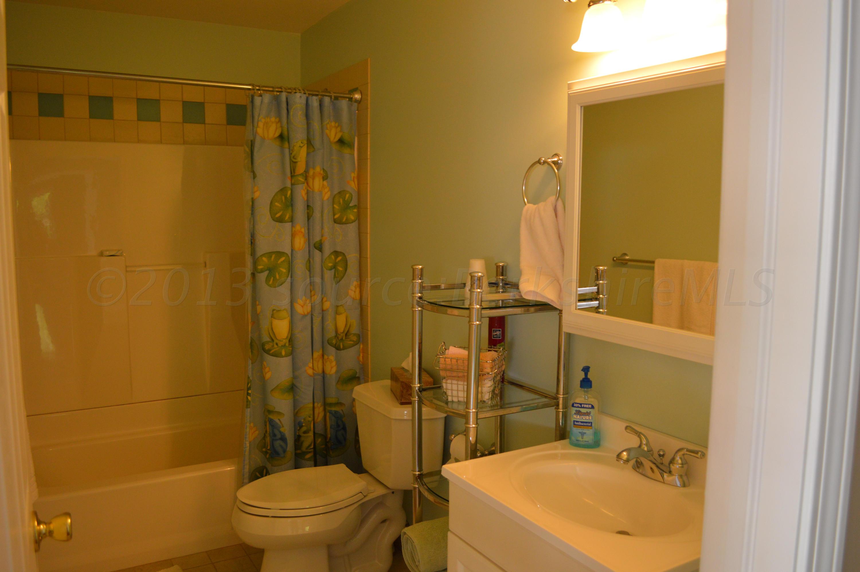 269 Skyline Ridge Road Becket, MA 01223 - Photo 30 of 42 a bathroom with a sink toilet and shower