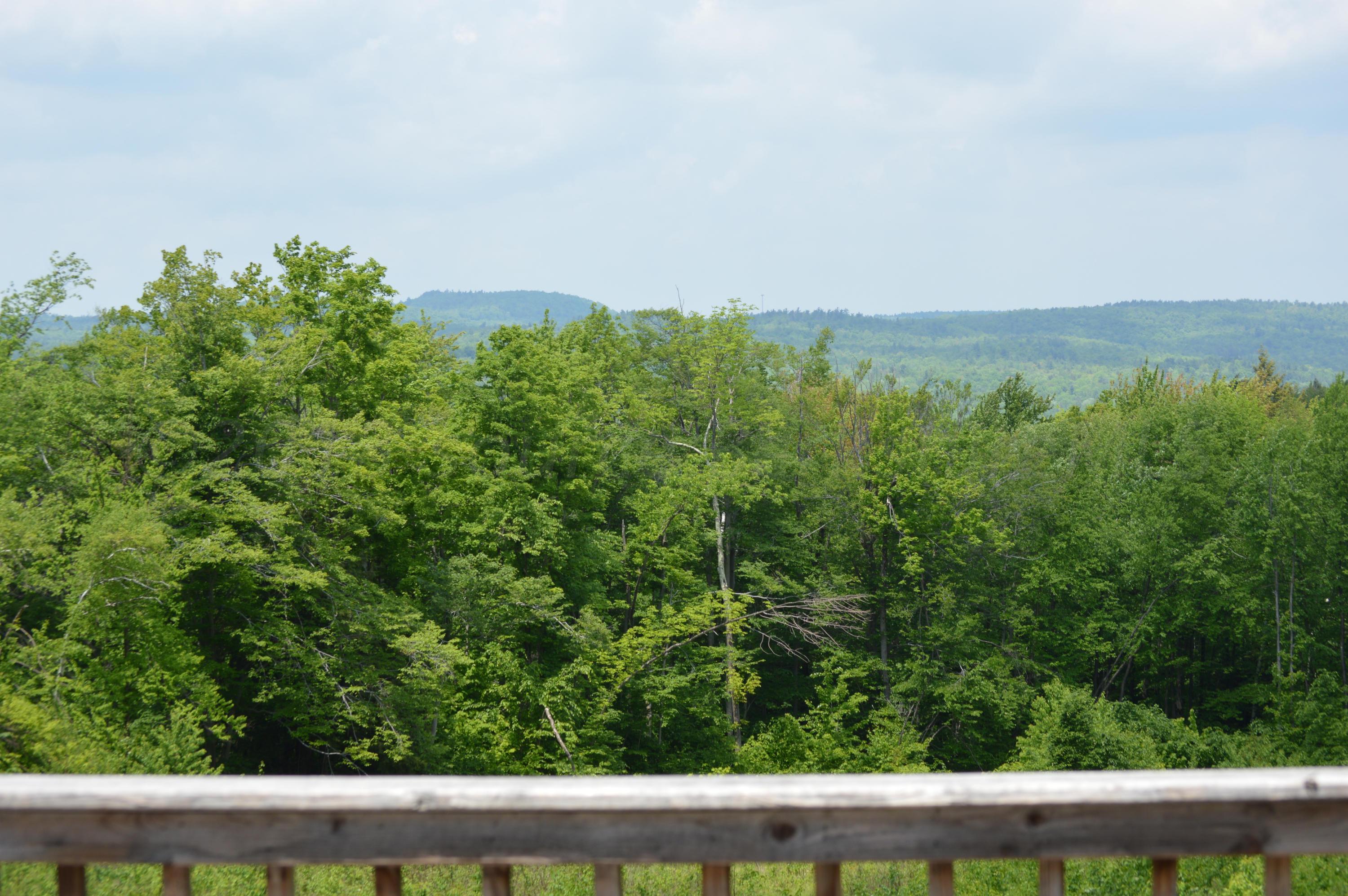 269 Skyline Ridge Road Becket, MA 01223 - Photo 4 of 42 a view of a green field with lots of bushes