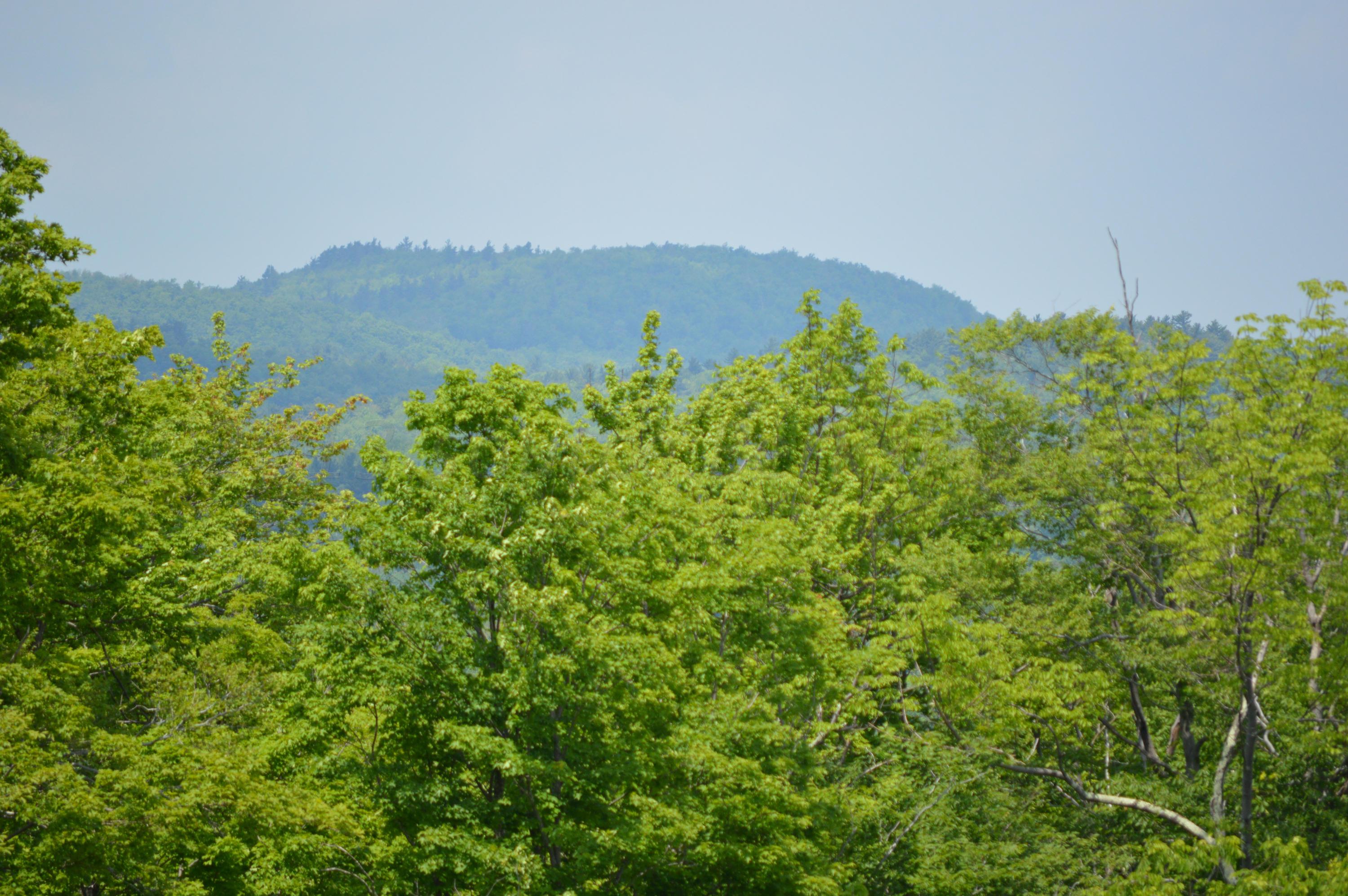 269 Skyline Ridge Road Becket, MA 01223 - Photo 5 of 42 an aerial view of a houses with a yard and mountain view