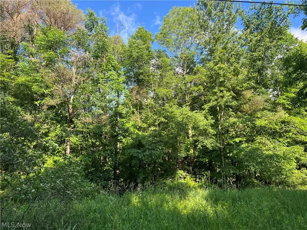 $55,000 | State Line Road, Pierpont, OH 44082