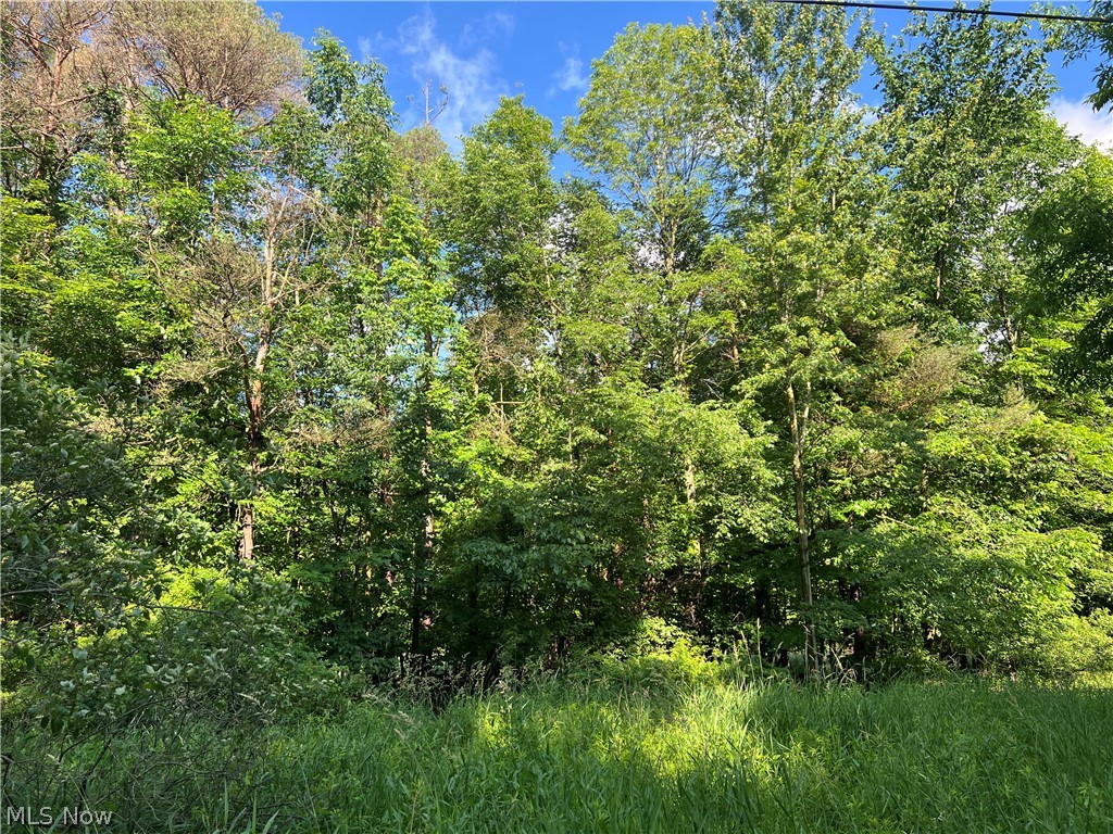 State Line Road Pierpont, OH 44082 - Photo 1 of 1