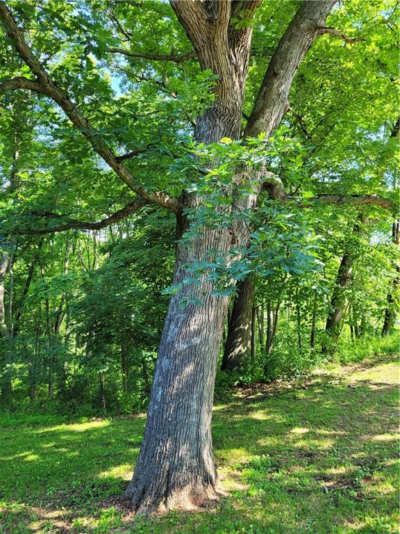 625 Chicora Road Butler, PA 16001 - Photo 21 of 21