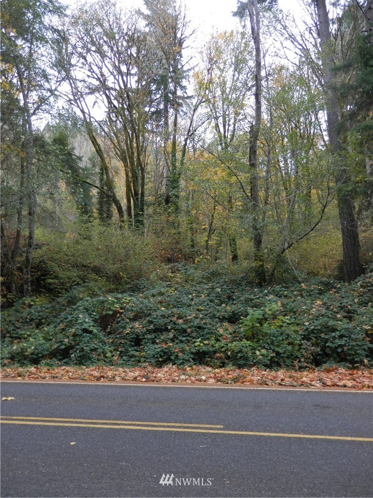 6840 Northeast North Shore Road Belfair, WA 98528 - Photo 11 of 12