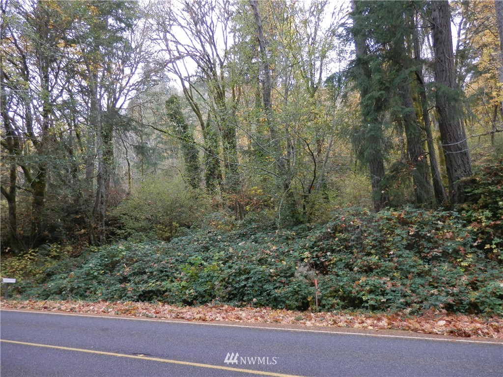 6840 Northeast North Shore Road Belfair, WA 98528 - Photo 12 of 12
