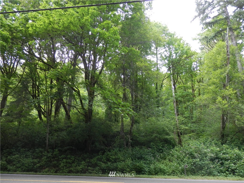 6840 Northeast North Shore Road Belfair, WA 98528 - Photo 4 of 12
