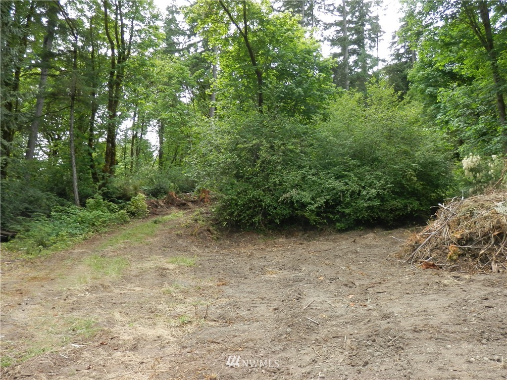 6840 Northeast North Shore Road Belfair, WA 98528 - Photo 6 of 12