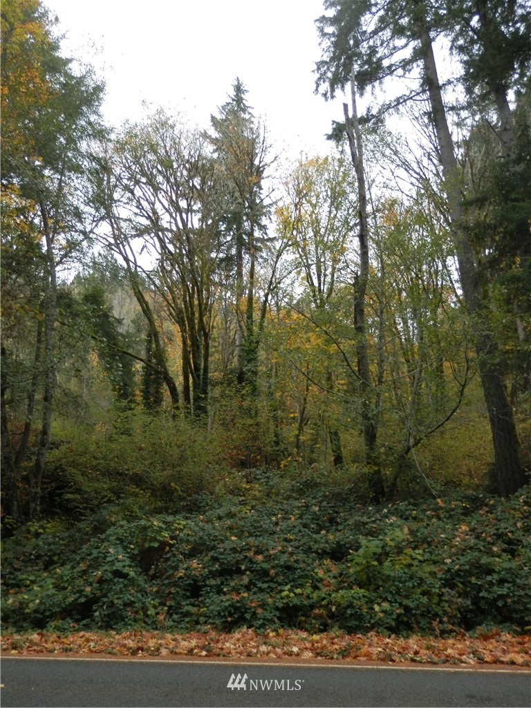 6840 Northeast North Shore Road Belfair, WA 98528 - Photo 10 of 12