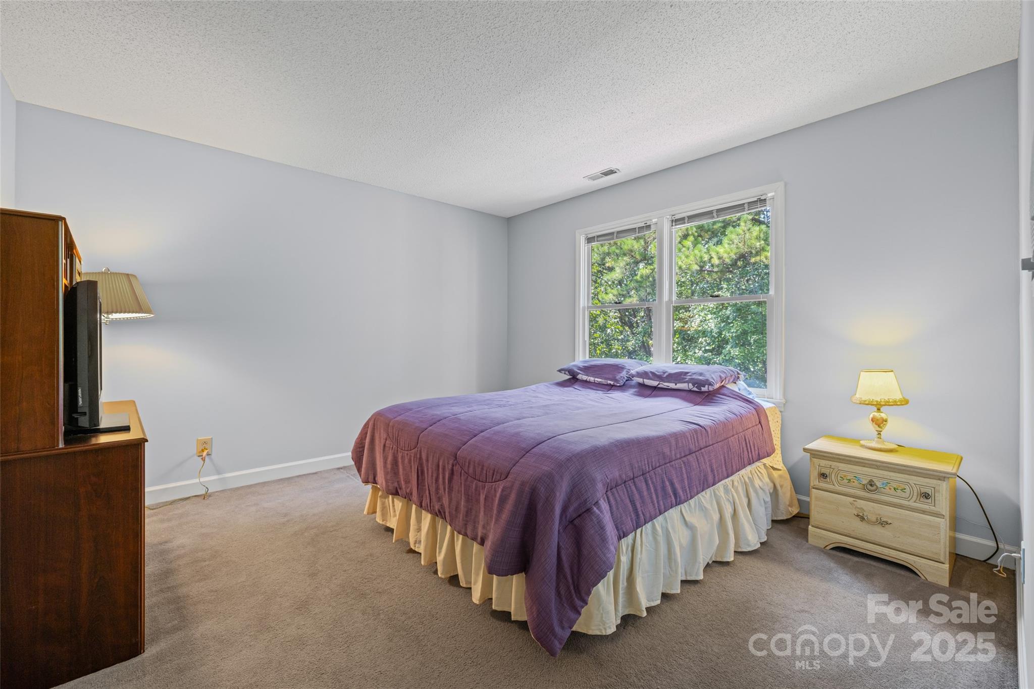 25011 Club View Drive Tega Cay, SC 29708 - Photo 22 of 48