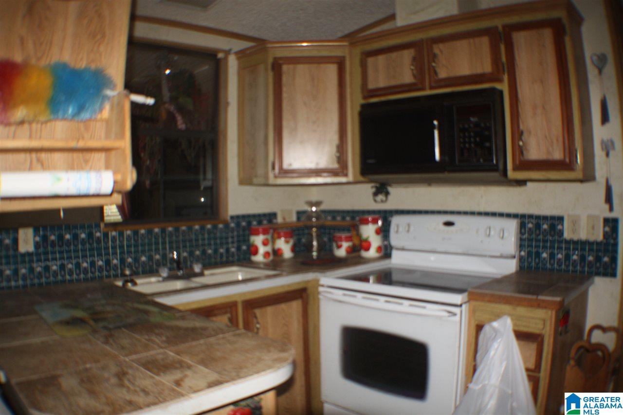 5915 County Road 275 Fort Payne, AL 35967 - Photo 4 of 22