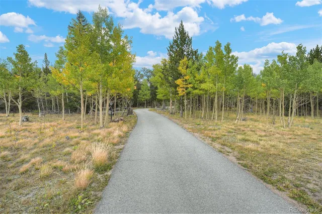 a view of a lake with a trees in the background