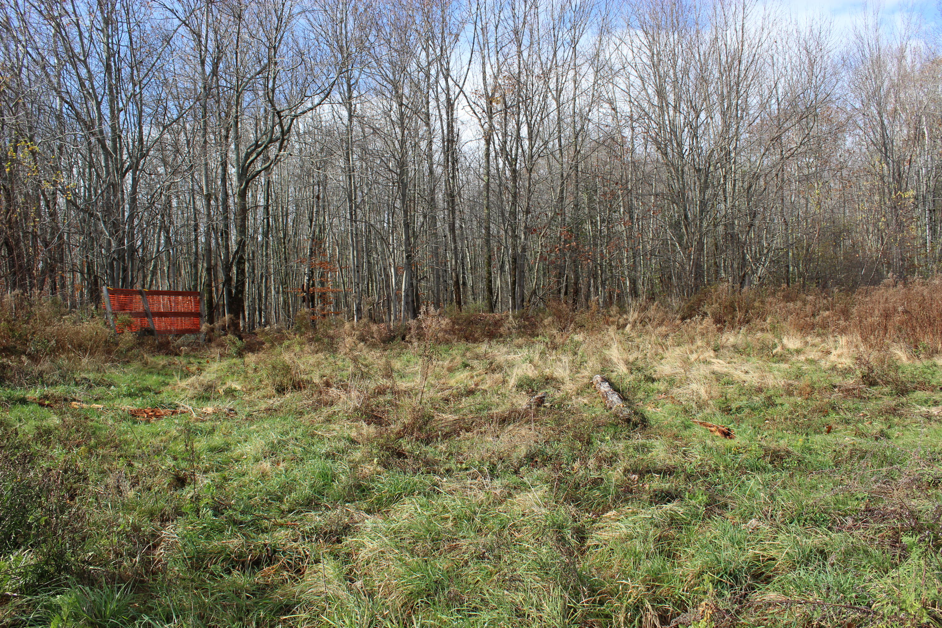 281 Belfast Road Northport, ME 04849 - Photo 13 of 28 field