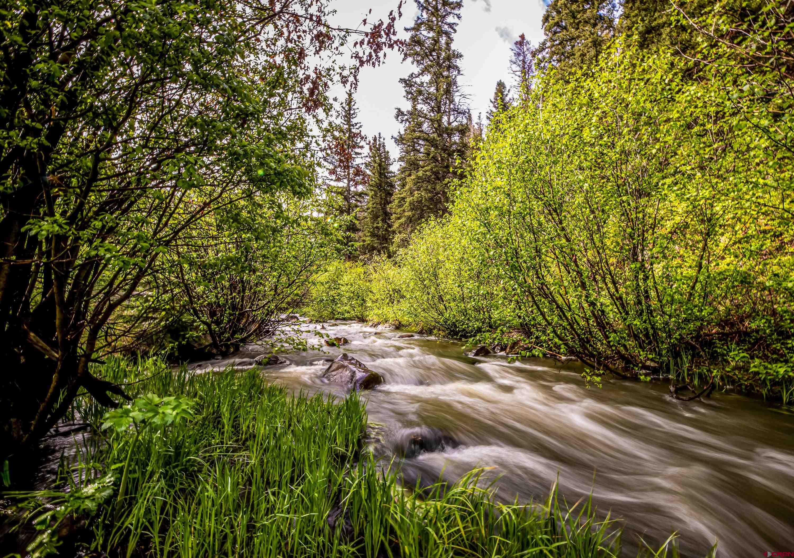 125 Aspen Trail Cimarron, CO 81220 - Photo 31 of 37 a view of street view with large trees