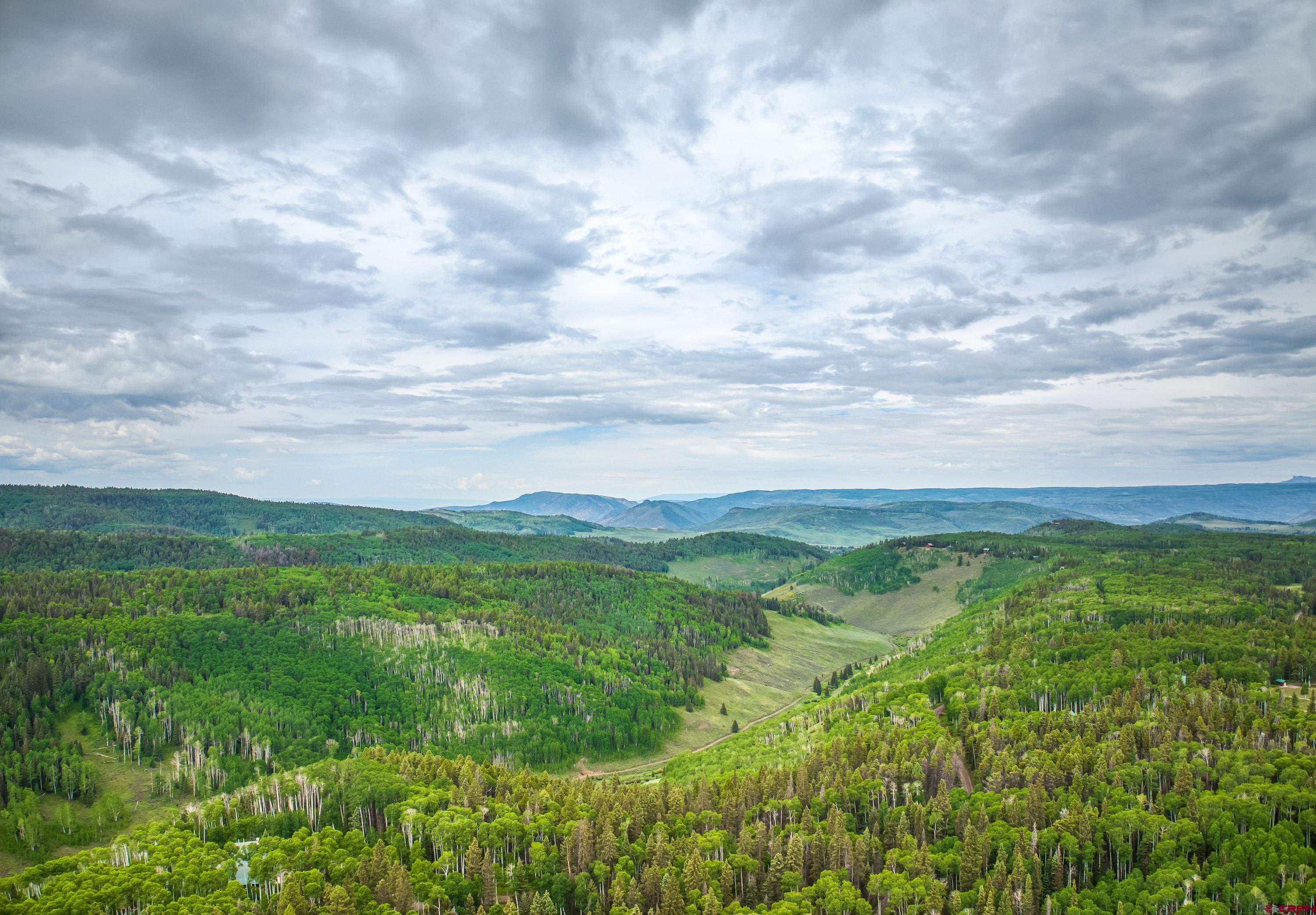 125 Aspen Trail Cimarron, CO 81220 - Photo 32 of 37 a view of a green field with lots of bushes