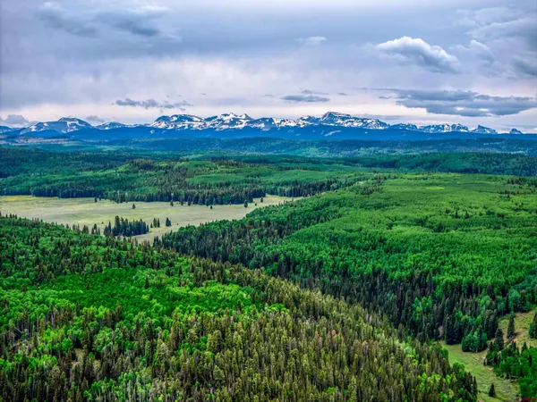 $399,000 | 125 Aspen Trail, Cimarron, CO 81220