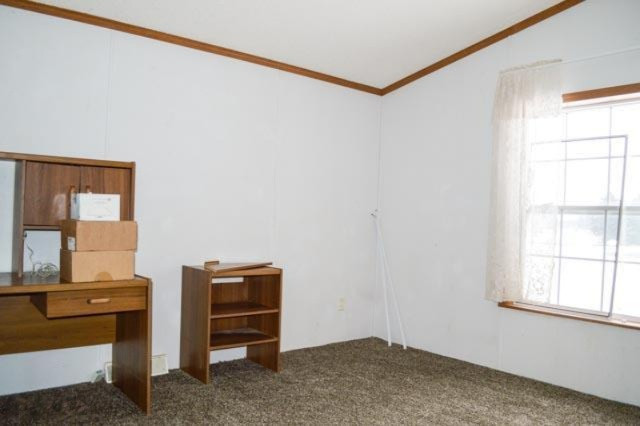 1143 Miller Road Plainwell, MI 49080 - Photo 14 of 24 untitled shoot-0022
