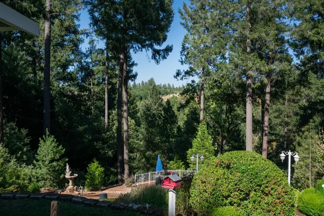 $980,000 | 4205 Falcon Lane, Camino, CA 95709