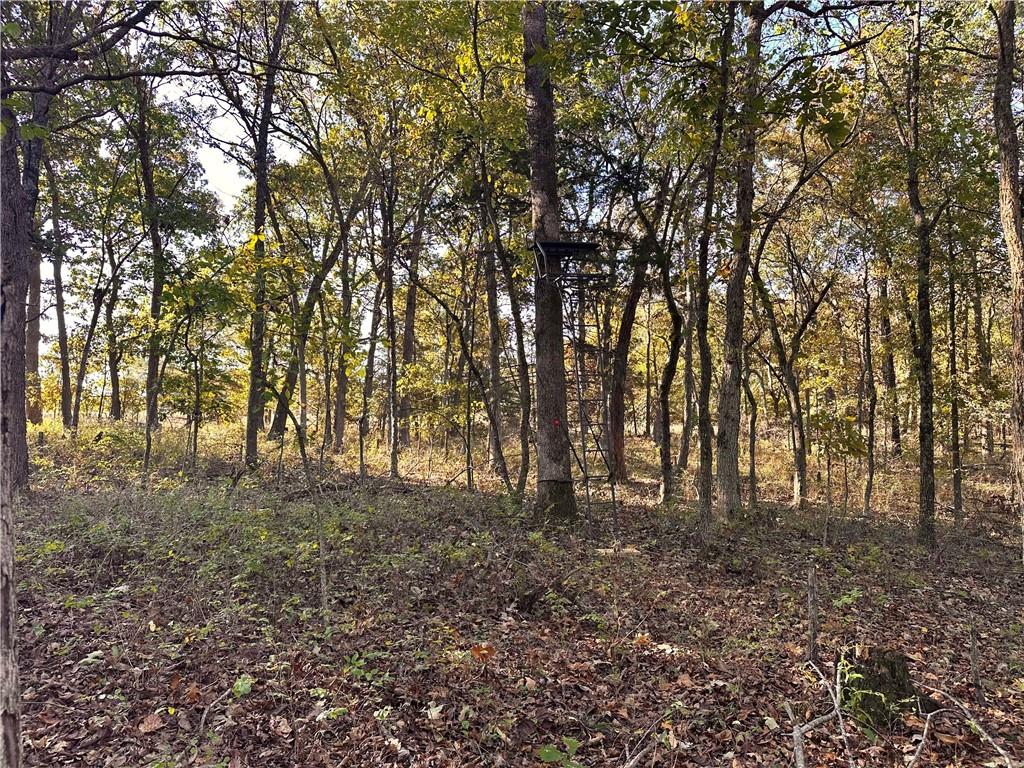 2055 East 335th Road Half Way, MO 65663 - Photo 79 of 99 Gallery Image 79