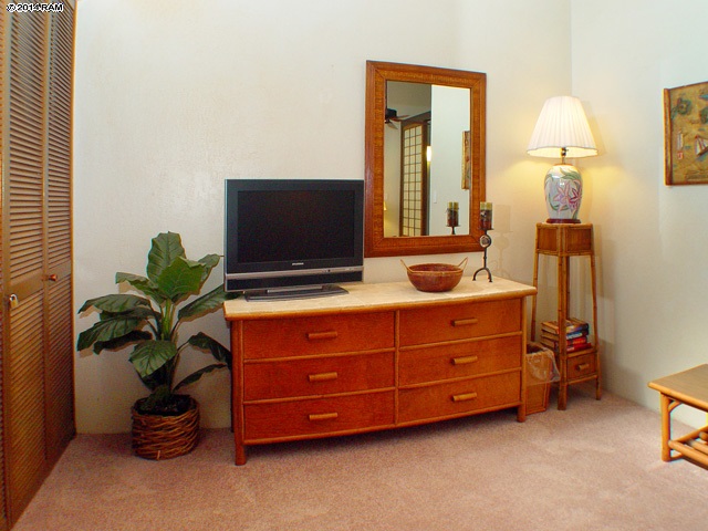 3741 Lower Honoapiilani Road, Unit 310 Lahaina, HI 96761 - Photo 16 of 30 Gallery Image 16