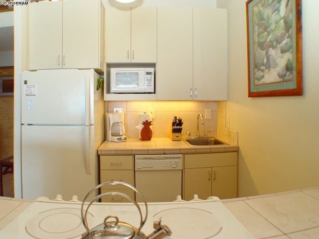 3741 Lower Honoapiilani Road, Unit 310 Lahaina, HI 96761 - Photo 25 of 30 Gallery Image 25