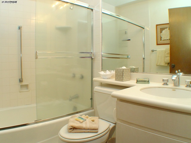 3741 Lower Honoapiilani Road, Unit 310 Lahaina, HI 96761 - Photo 10 of 30 Gallery Image 10