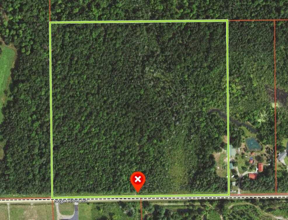 40-acres Sugar River Road Gladwin, MI 48624 - Photo 3 of 33