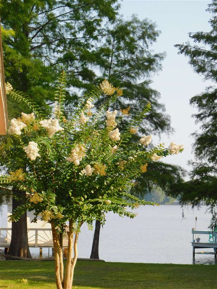 31711 Greenbriar Loop Andalusia, AL 36421 - Photo 21 of 23 Gallery Image 21