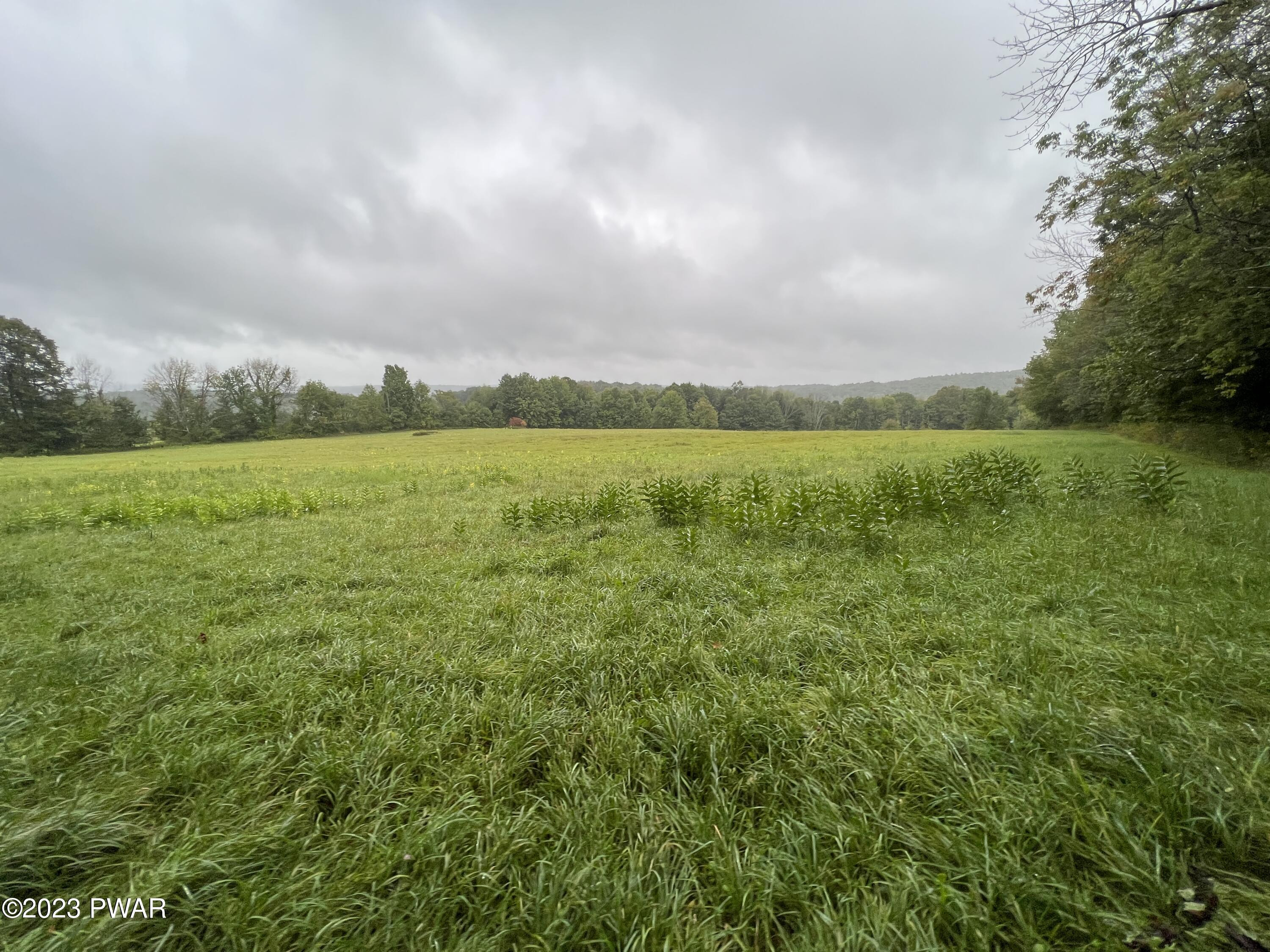 254 Big Hills Road Lake Ariel, PA 18436 - Photo 14 of 91