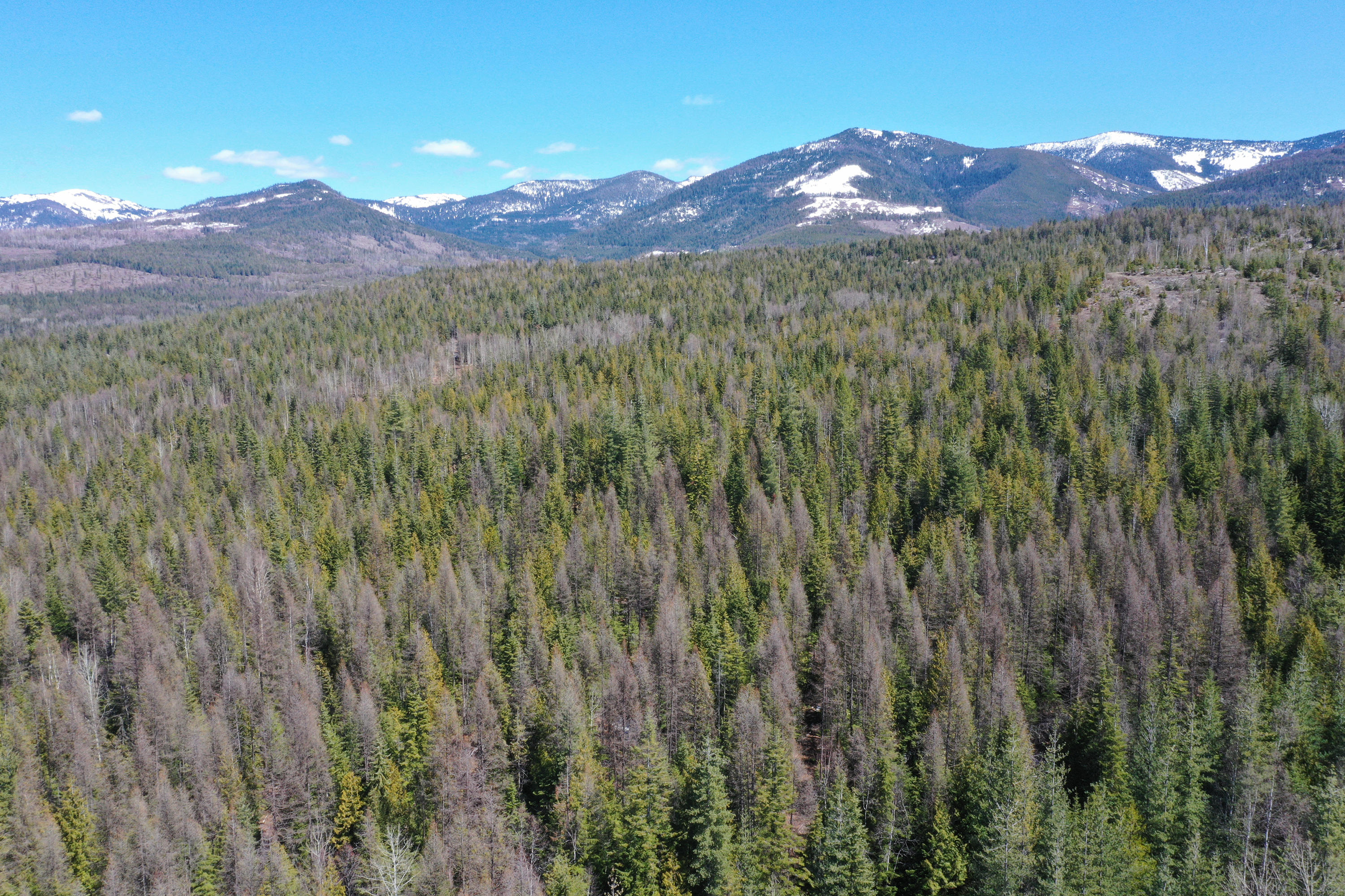 Moonfire Road Sandpoint, ID 83864 - Photo 1 of 1 DJI_0163