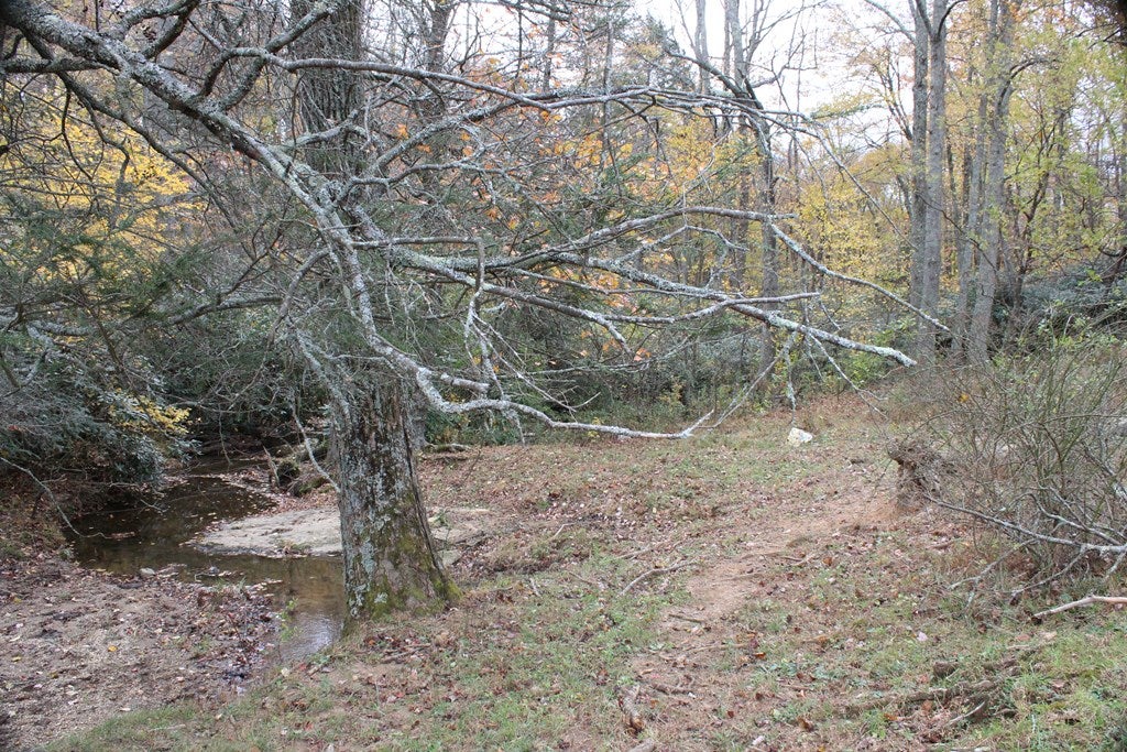 Tbd Terry's Mill Road, Unit 121A61 Laurel Fork, VA 24352 - Photo 50 of 71 Gallery Image 50