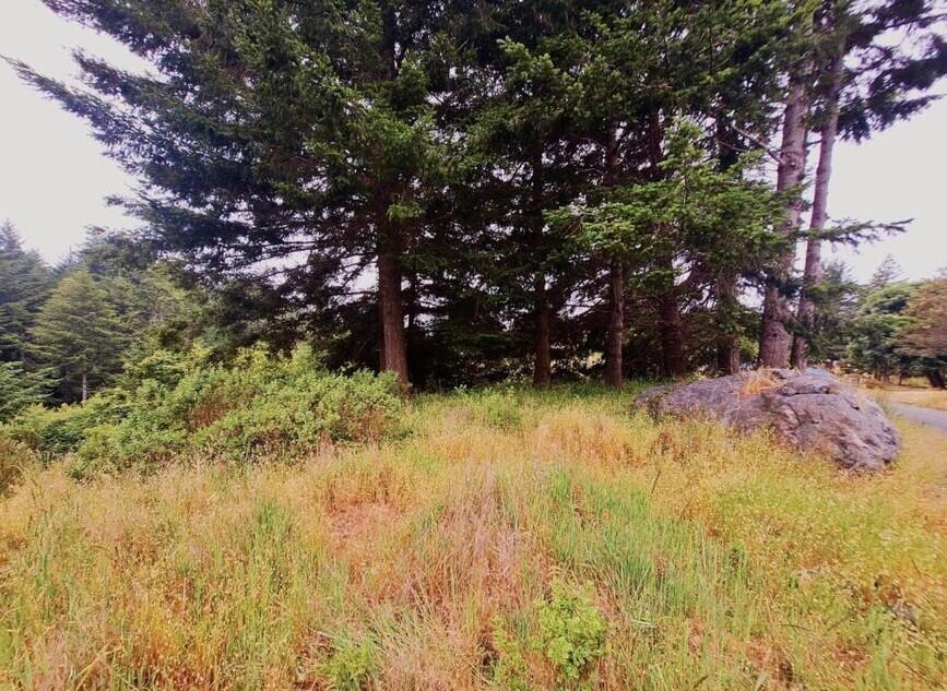 146 Spring Road Shelter Cove, CA 95589 - Photo 2 of 5 Screenshot 2025-10-08 085655