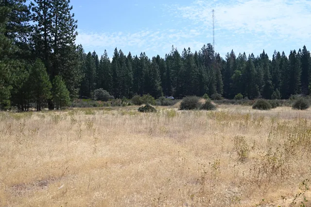 $45,000 | 0 Long Leaf Lane, Burney, CA 96013