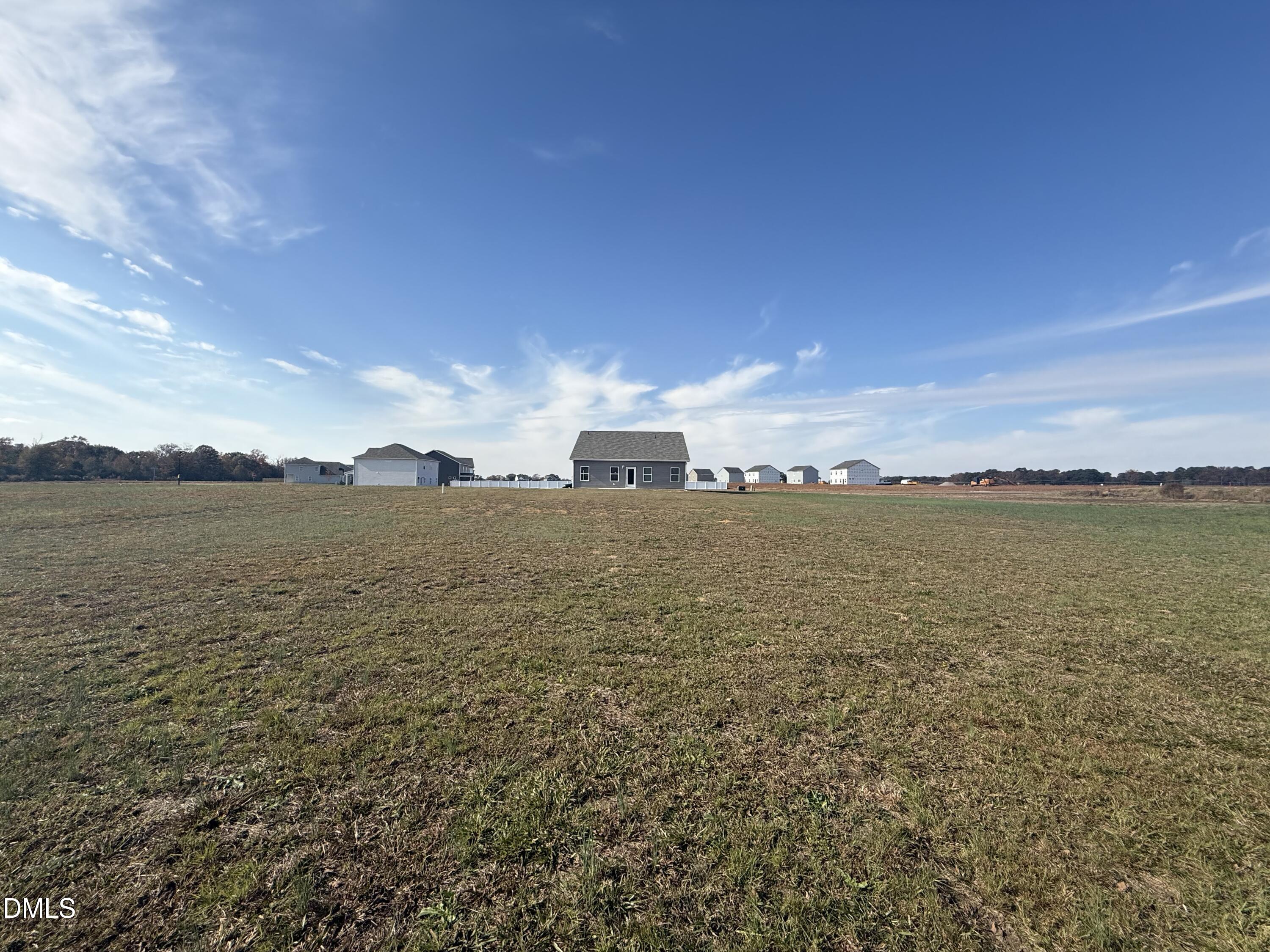 48 Spirit Spgs Road Smithfield, NC 27577 - Photo 20 of 24 Back Yard 2