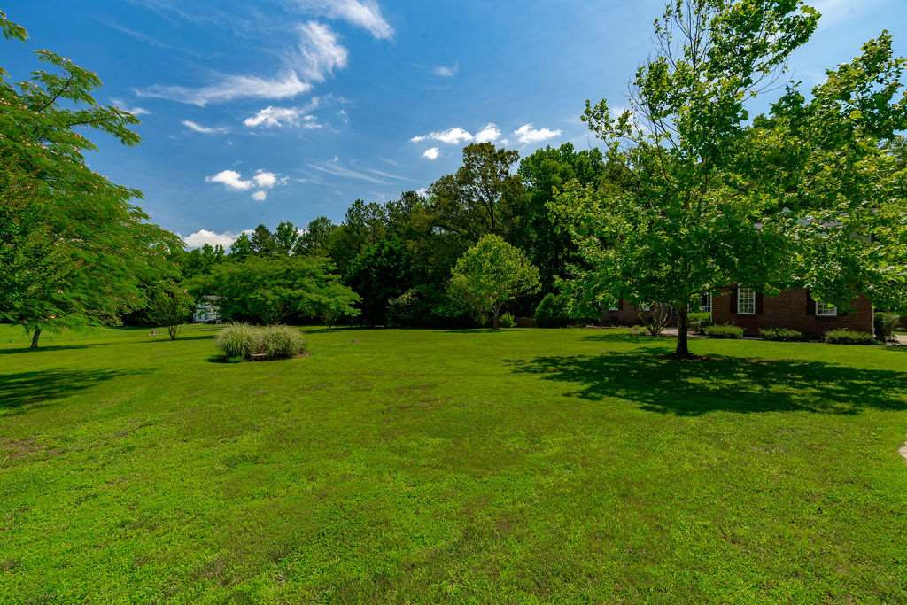 4104 Bahama Road Rougemont, NC 27572 - Photo 29 of 30 A Lovely Mix of Trees Makes for the Perfect Back Drop