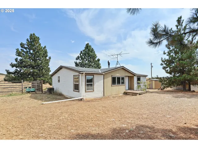 a view of a yard in front of a house with a large tree