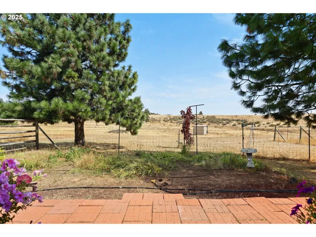 a view of a pathway with a wrought fence