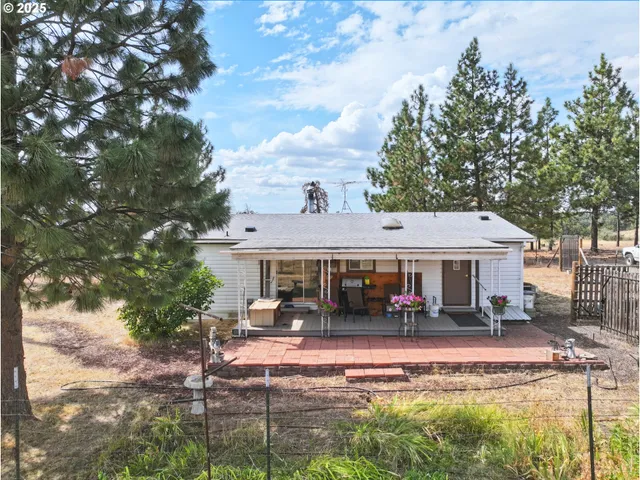 a view of the house with a big yard and large tree