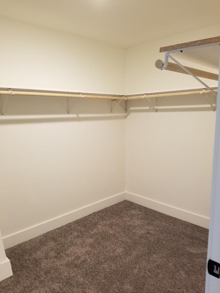 2425 Browning Branch Road Bethpage, TN 37022 - Photo 8 of 13 large walk in closet
