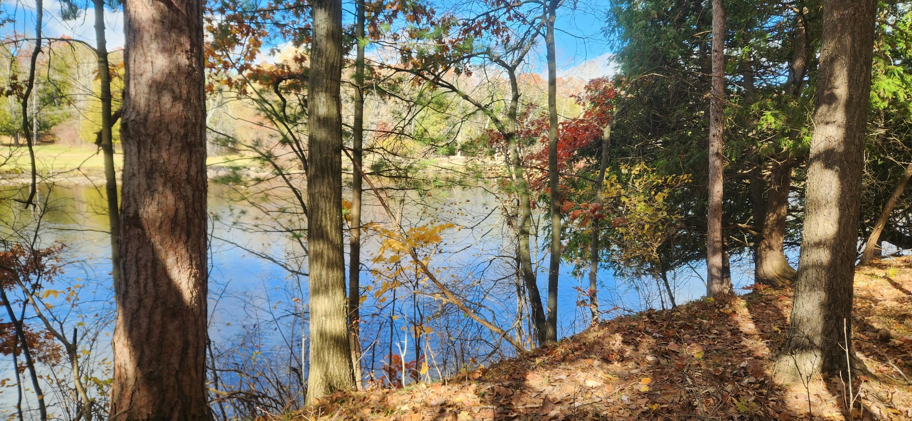 18160 Indian Village Road Big Rapids, MI 49307 - Photo 1 of 8 #1 View