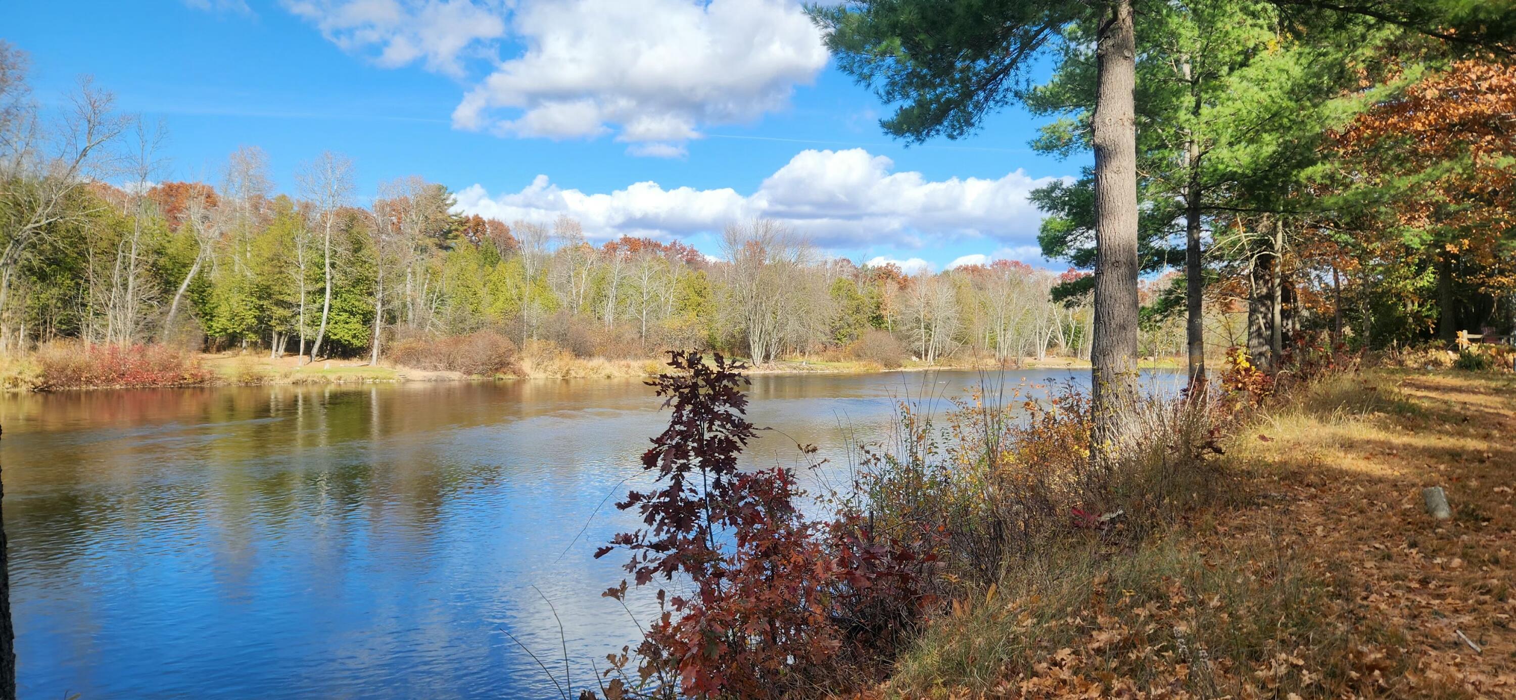18160 Indian Village Road Big Rapids, MI 49307 - Photo 2 of 8 #2 View Right
