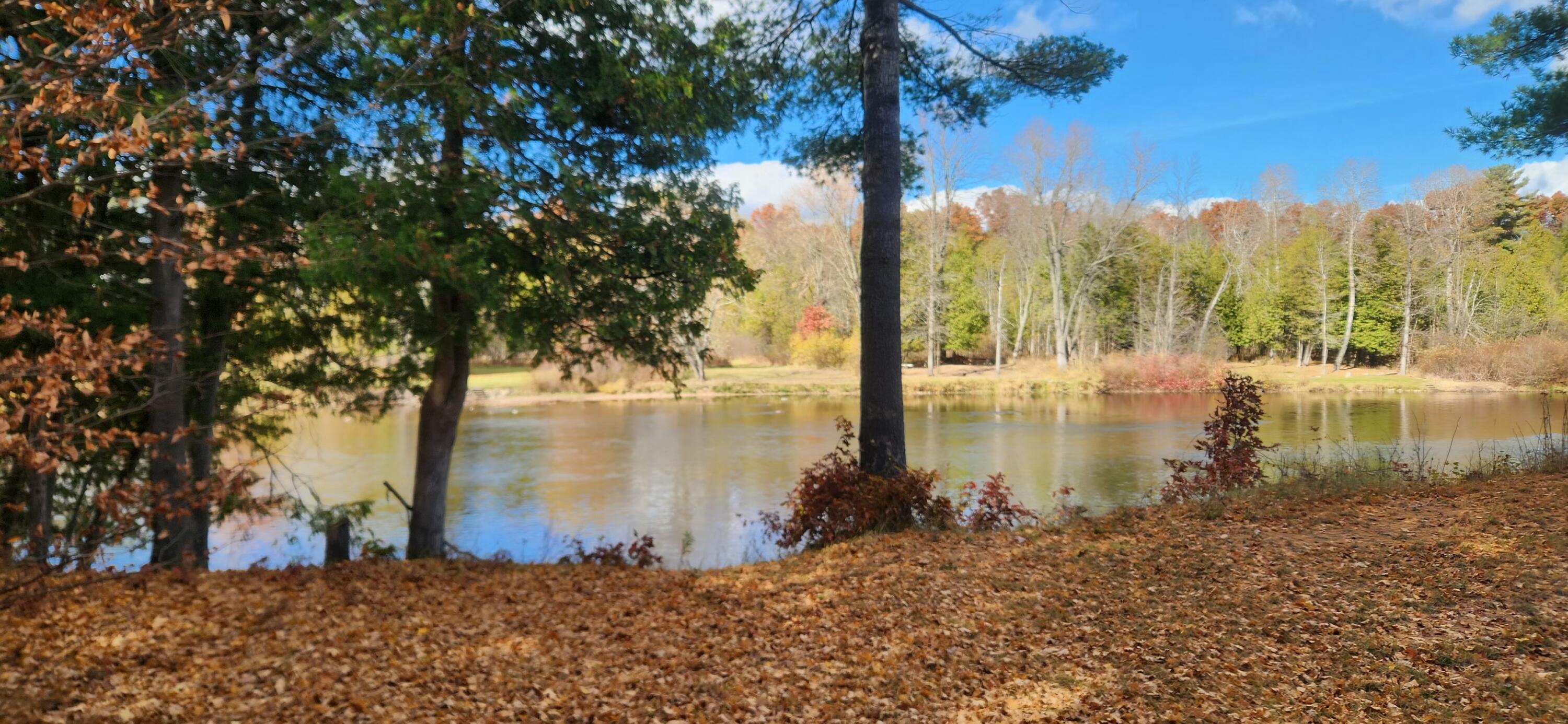 18160 Indian Village Road Big Rapids, MI 49307 - Photo 3 of 8 #3 Views