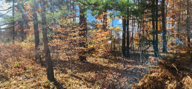 $55,000 | 18160 Indian Village Road, Big Rapids, MI 49307